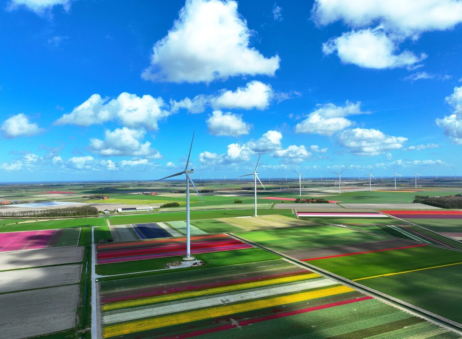 windmolen in de wieringerwaard
